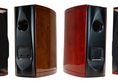 Gingko Audio FosterVu Loudspeaker